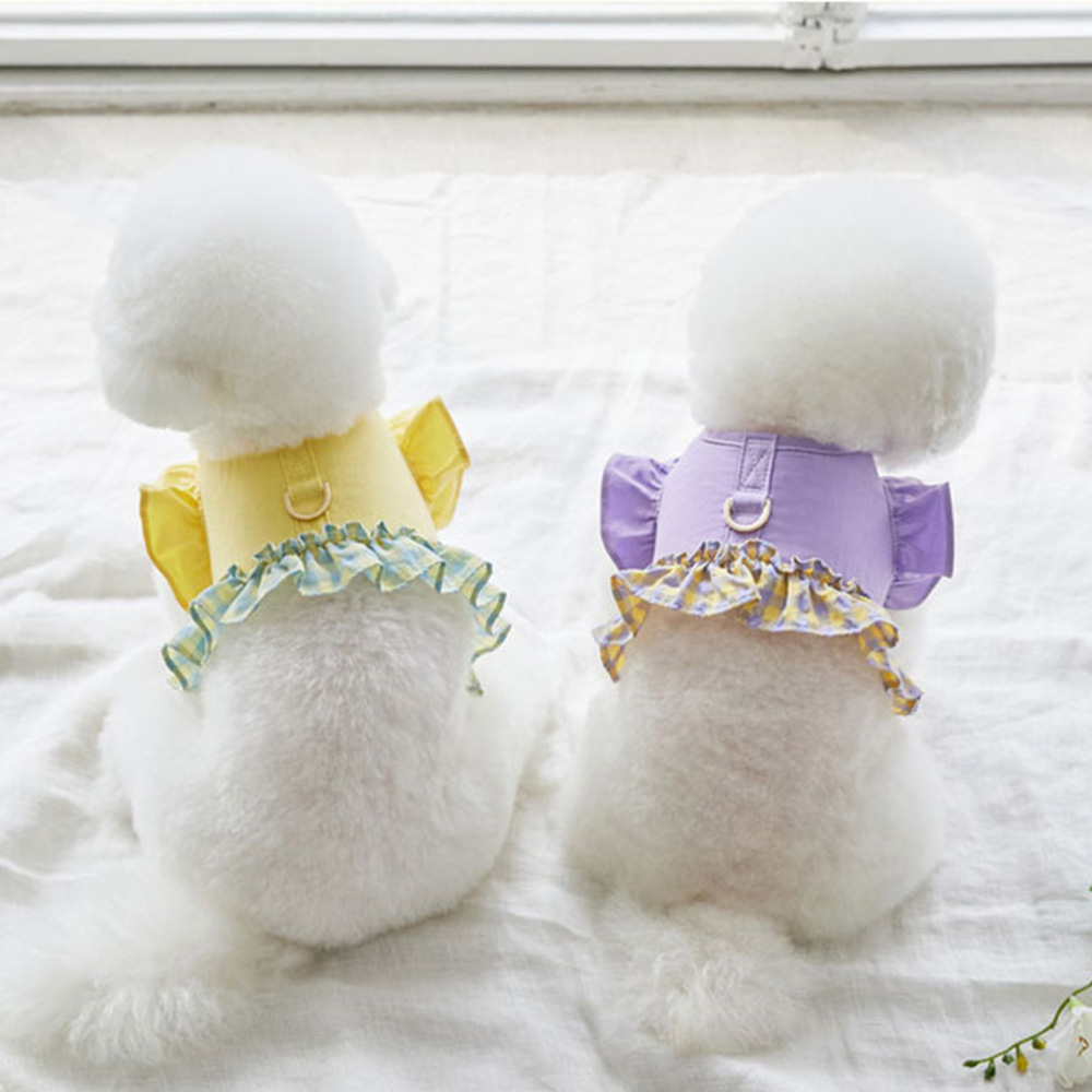 Lace Teddy Lingerie - Tali Kekang Anjing Warna Kontras, Rompi