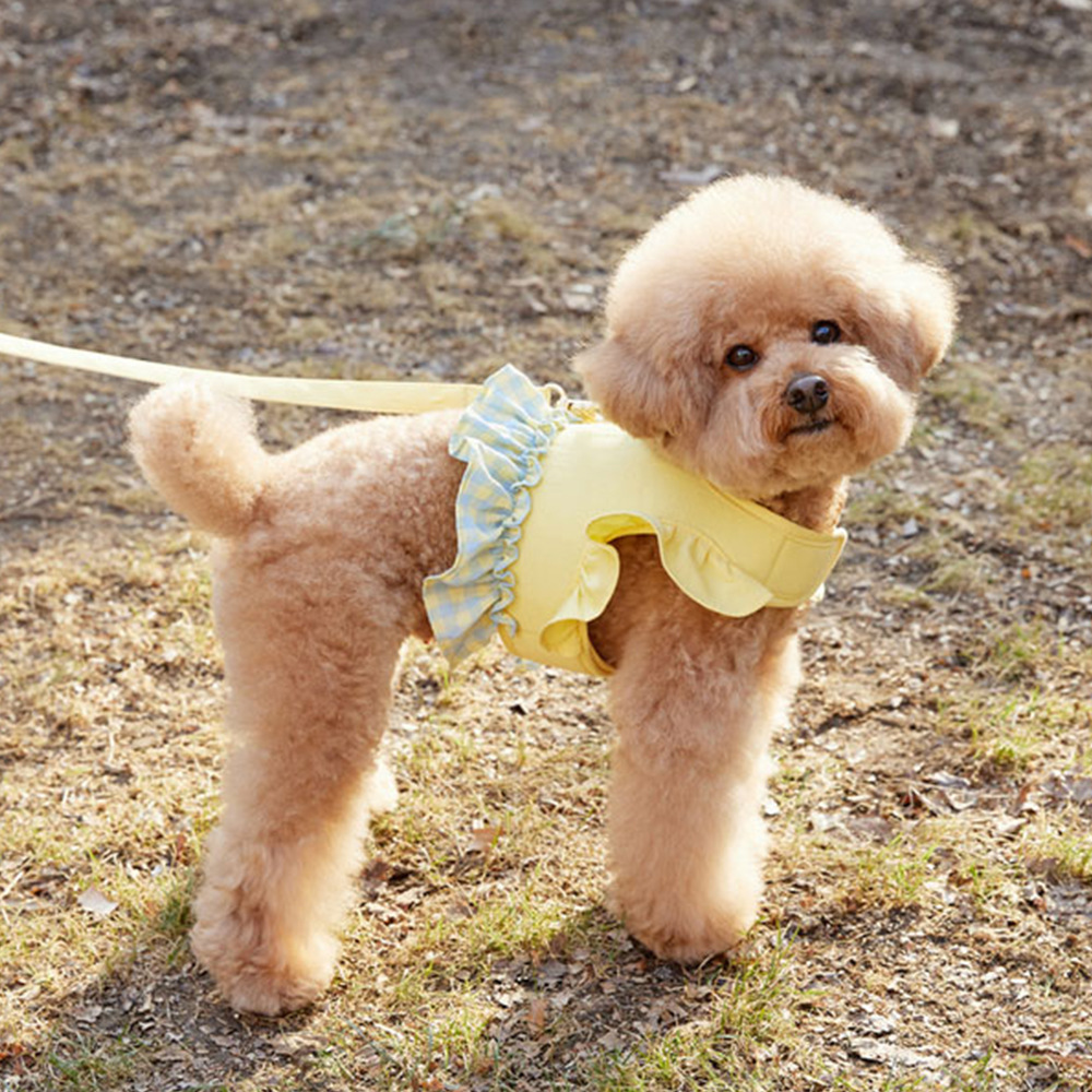 Tali Kekang Anjing Warna Kontr - Lace Teddy Lingerie ulasan dan harga